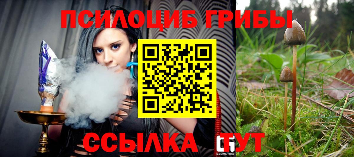 как найти   Галлюциногенные грибы Psilocybine cubensis  Вход с VPN  Жигулёвск 